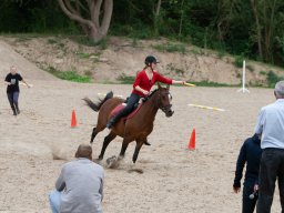 IMG_7932_web